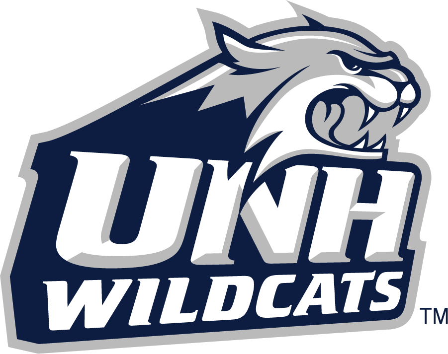 New Hampshire Wildcats 2000-Pres Secondary Logo v2 diy DTF decal sticker